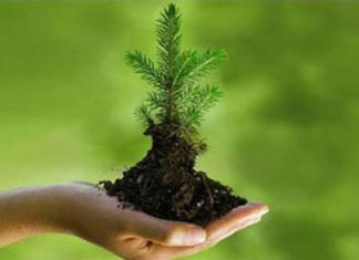 Global Green 2G – Powered by WAM TN Mahila Vibhaag