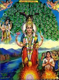 Vasavi_Agni_Pravesha